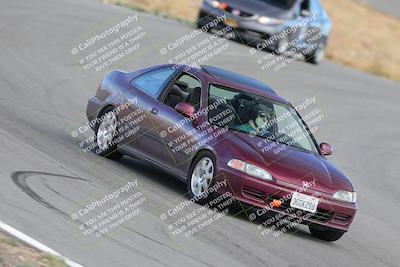 media/Nov-18-2023-Extreme Speed (Sat) [[10c227f63a]]/5-Blue/turn 9/